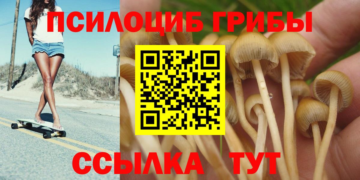 Лесозаводск  Псилоцибиновые грибы мухоморы  Вход с VPN 